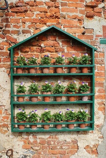 i love gardening