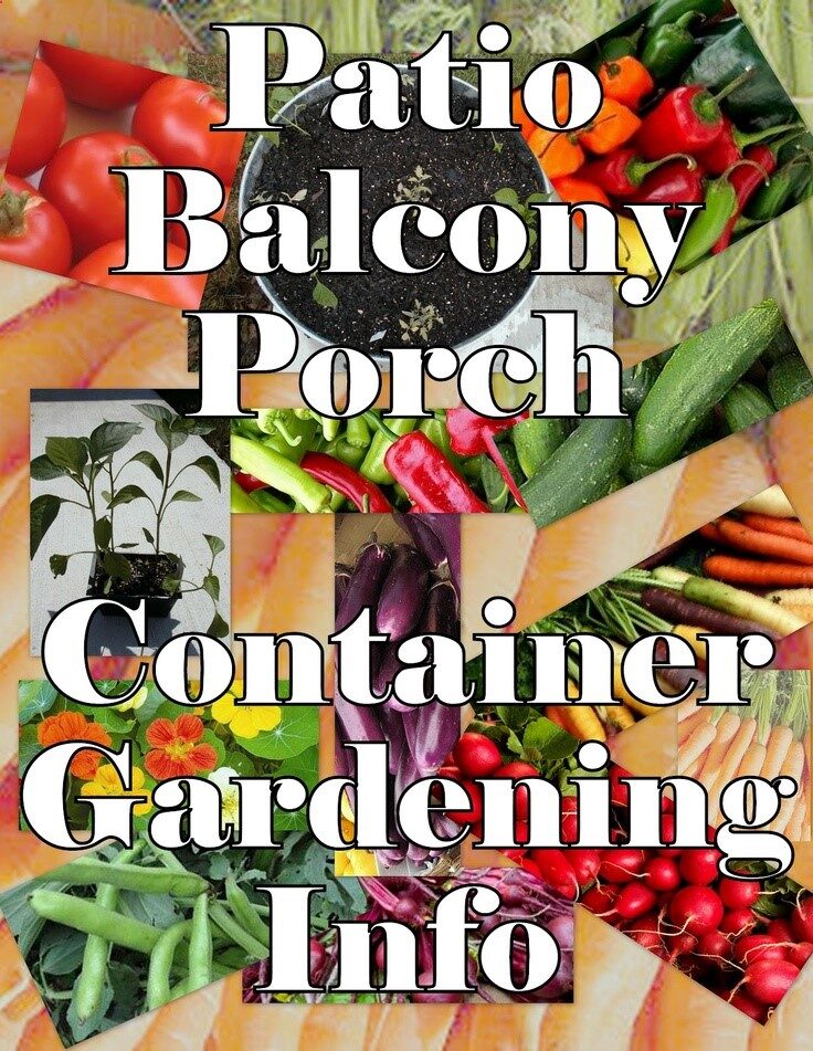 RHGS Outdoor  Gardening Blog: Patio or Balcony Gardening