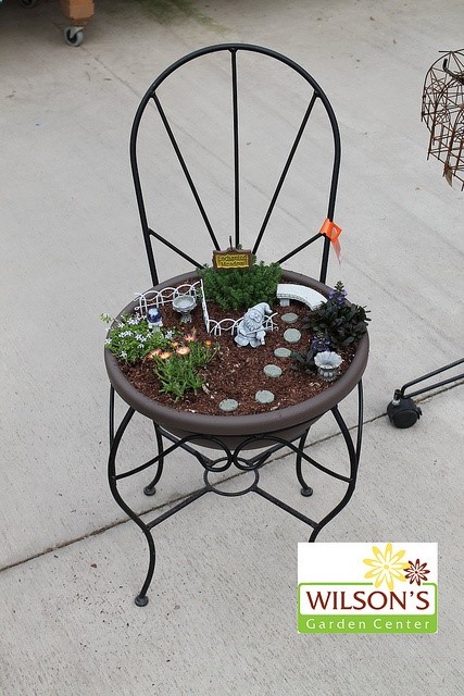 Fairy Garden | Flickr – Photo Sharing!