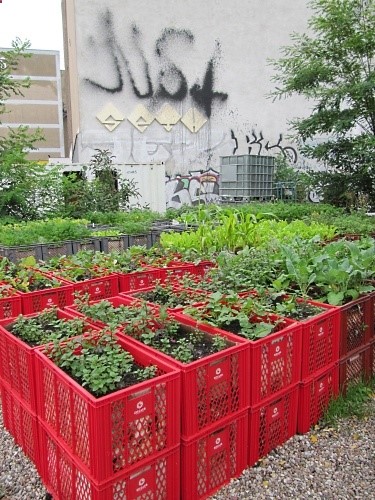 Using crates makes a lot of sense for gardening–you can raise the beds without having to build anything. Urban Gardens