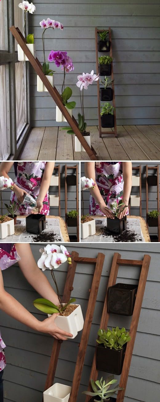 Cute ladder planter