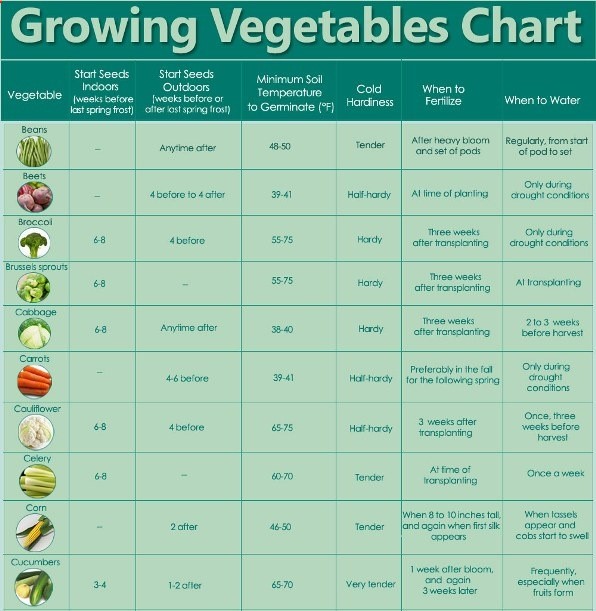 Growing Veggies Chart – a nice condensed guide to for when to start your seeds and plant care through the season!