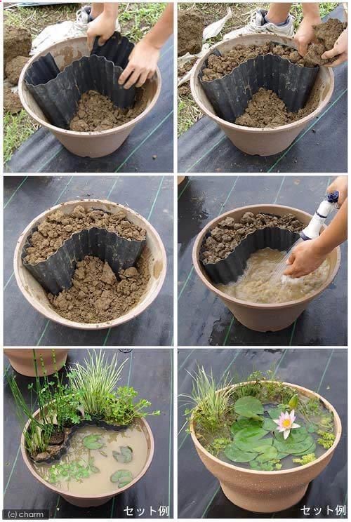 No room for a pond? Just make a small one in a container!