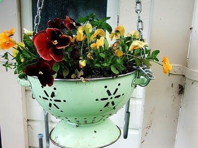 I saw this cute idea a while back and Ive wanted to make my own colander planter ever since! My mom has a small copper colander in her backyard thats home to Echeveria succulents and it is doing very well! Try it… experiment with colanders from Goodwill or Salvation Army and get creative with a bold coat of spray paint… I like turquoise, red or yellow!