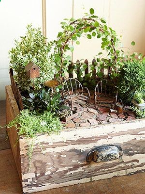 Gardening in Miniature