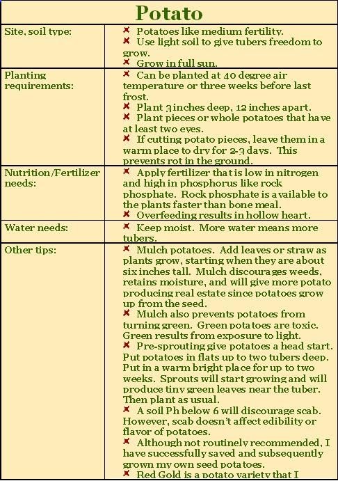 How to grow potatoes