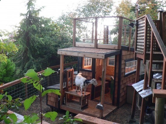 The most stylish, clever goat houses ever (via Sunset Magazine)