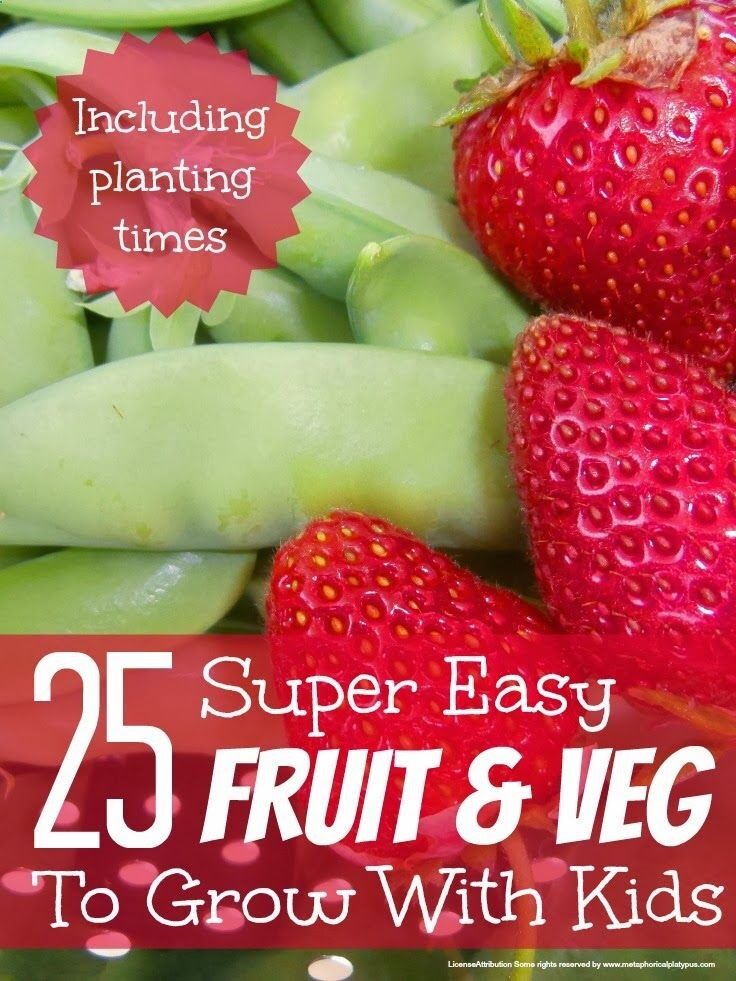 25 super easy fruit and veg to grow with kids http://@Maaike Anema Anema Boven make lists … #garden #kids #play