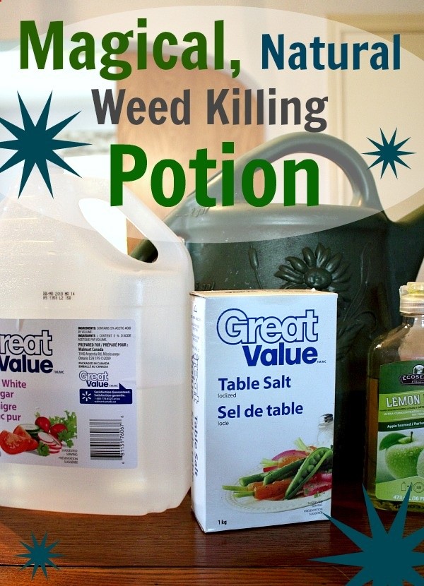 An all-natural weed killing solution that works on just about anything.
