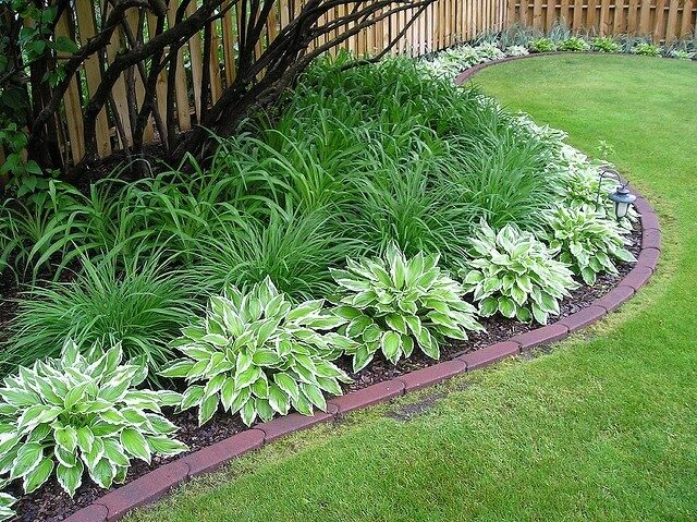 Hostas  daylilies – so low maintenance and they look beautiful during the summer