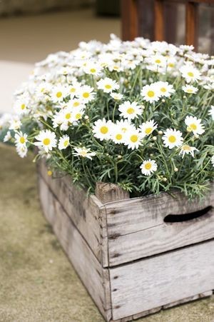 Flower crate – would be great with yellow shasta daisies!