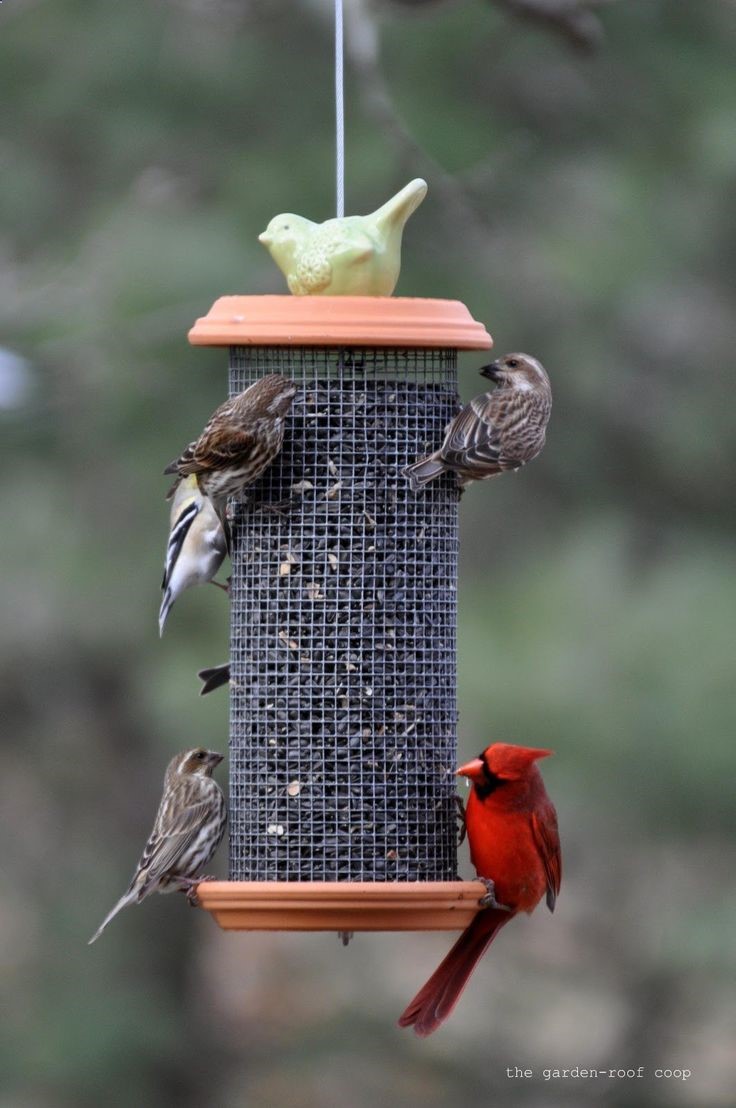 DIY Bird-Feeder…I think I would put a larger saucer on the bottom to catch the spillage and for the birds to perch on…but otherwise this looks easy enough to make! :)