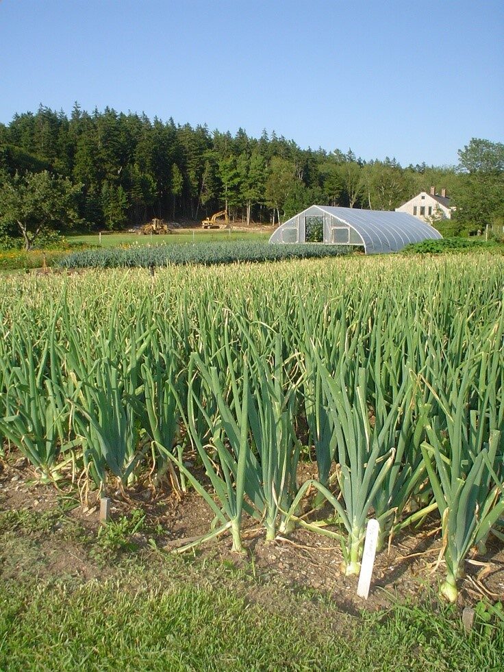 How to Practice Sustainable Agriculture in 8 Steps