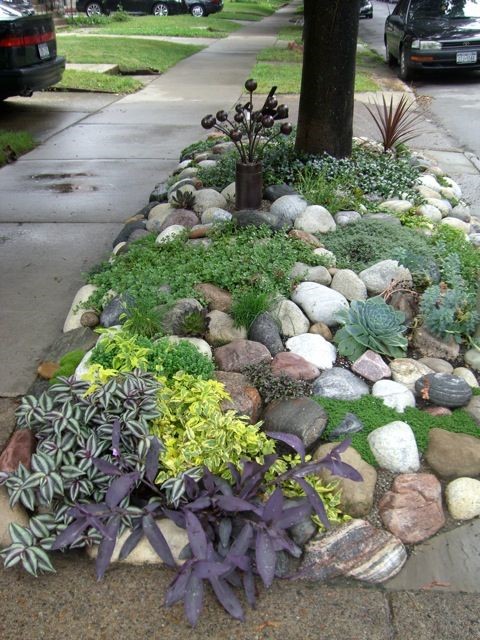 Rock garden