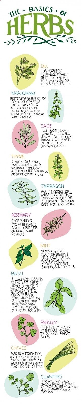 We are going to try a small herb garden this year. Hopefully this will help us figure out how to use them!