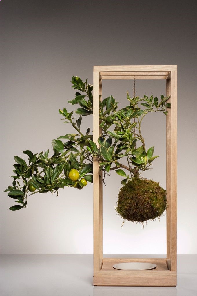 Plant Bondage – ash wood, porcelain. Plant Bondage reinterprets the planter into something elegant and fanciful. Drawing inspiration from the Japanese bonsai tradition of Kokedama, Farrah and Taylor create a self-sustaining structure, a minimalist bronze frame to hang a floating plant, with a wooden base and porcelain dish to soak its bound roots.