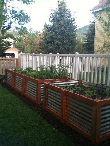 these raised garden beds with corrugated metal sides are gorgeous and industrial looking at the same time.