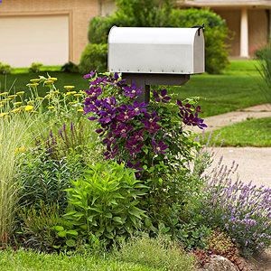Lovely mailbox landscaping
