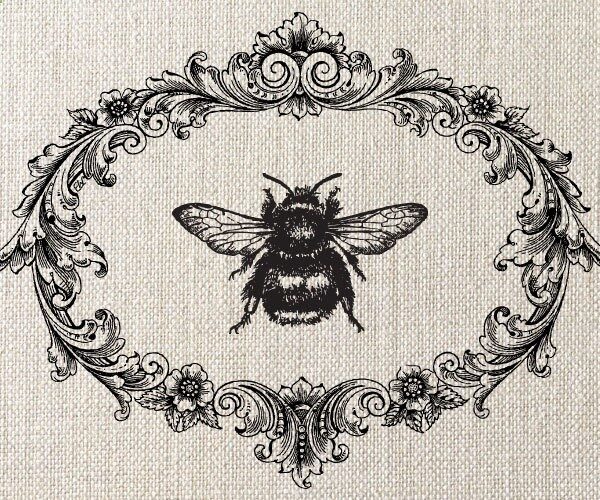 bumble bee, decorative frame, illustration, vintage style