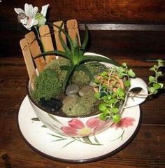miniature fairy garden in jars | mini gardens