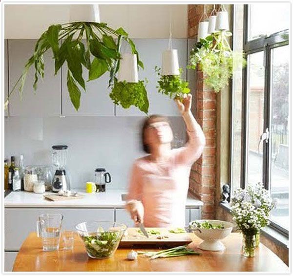 Upside down herbs in your kitchen as well as mason jar herb pots and pallet gardening. Great inspiration.