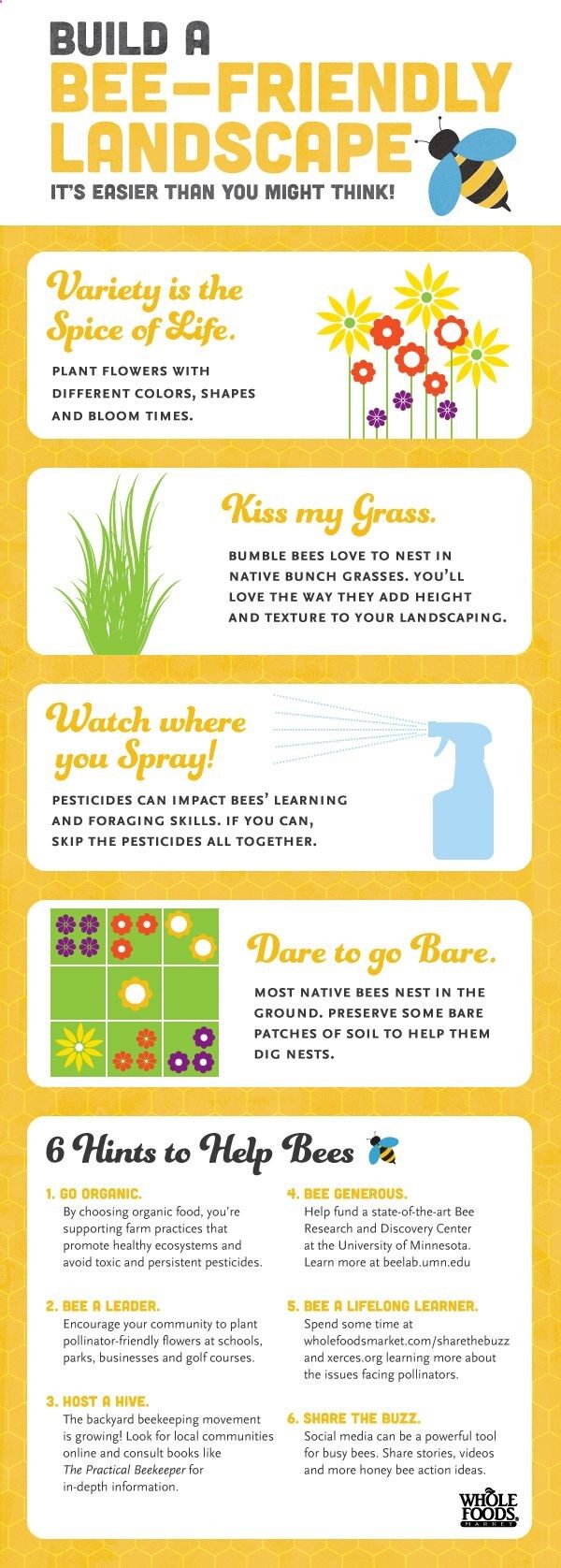 Building a bee-friendly landscape is easier (and more important) than you think!
