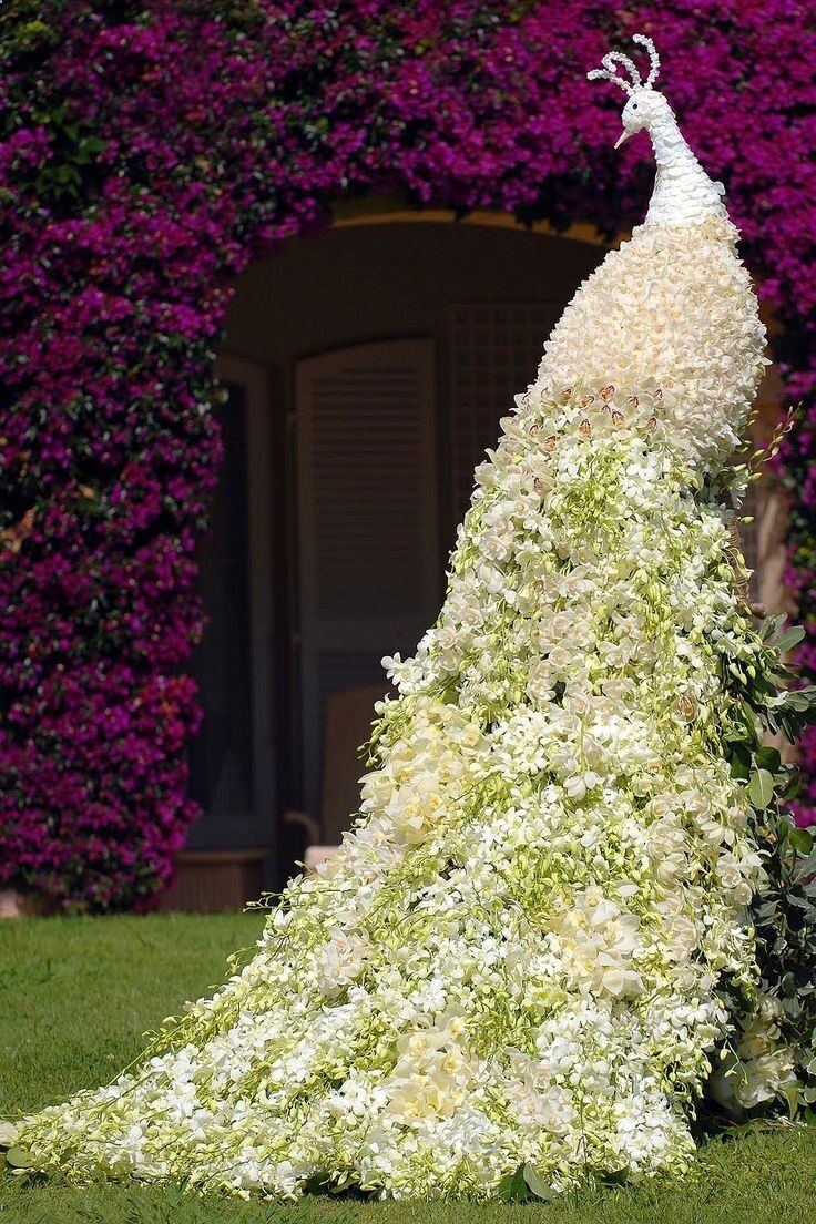 Beautiful Floral Peacock