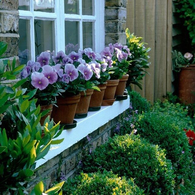 The repetition of a simple container fill with the same plants is a great statement here.