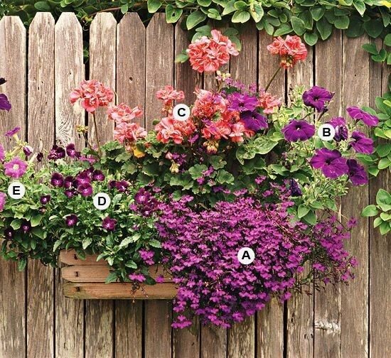 Great Container Gardens