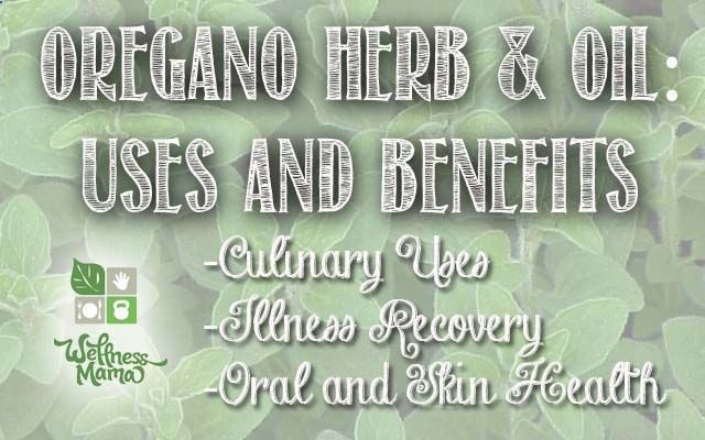Herb Profile: Oregano