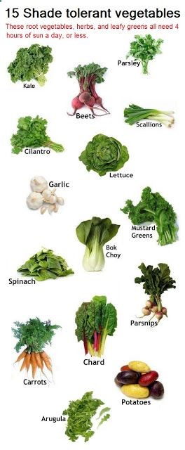 shade tolerant vegetables