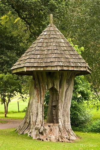what to do with a dead tree