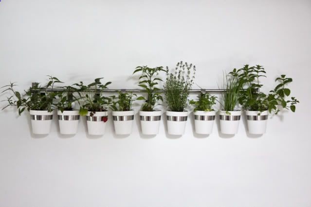 Best find at ikea… getting more asap. Currently we have two of these for kitchen accessories and cookware; they are awesome. Id like 3 or 4 more to set up an indoor vertical herb garden.
