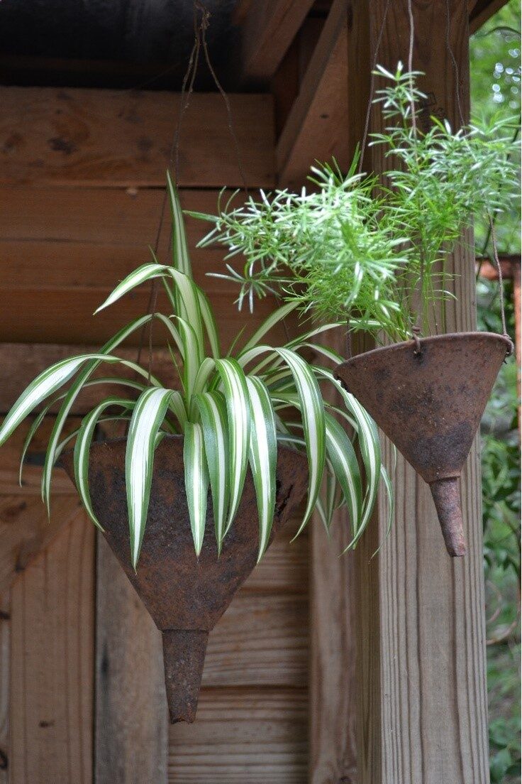 Funnel planters-Good idea!!