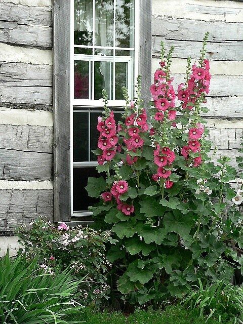 // Great Gardens  Ideas //