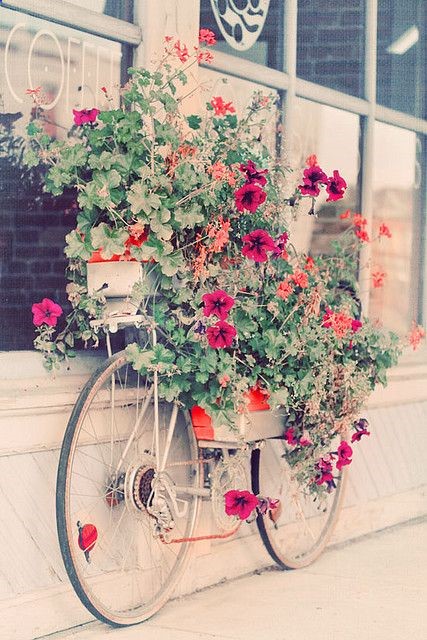 Photo by Alice B. Gardens