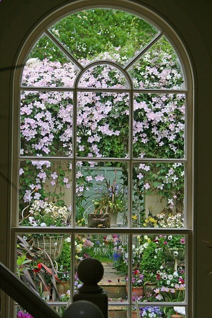 i would like to look out my kitchen window into a greenhouse filled with flowers maybe some day