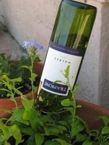 water your garden with wine bottles instead of those globes – Click image to find more Outdoors Pinterest pins