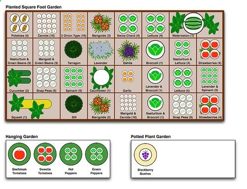 example of square foot garden plan. cant wait to try something similar next spring!