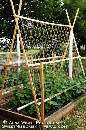 Cucumber trellis and PVC watering system, as well as other useful gardening tips and ideas.