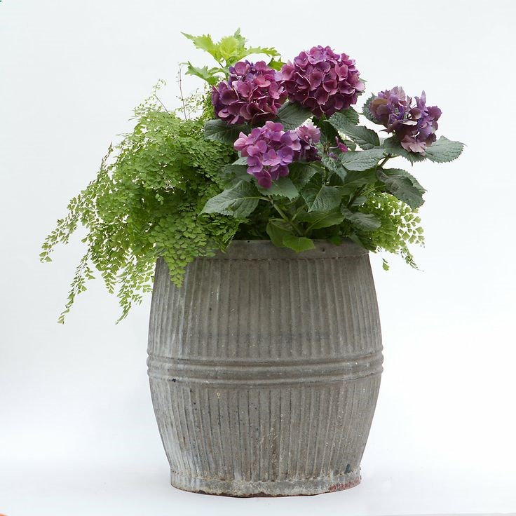 Vintage Zinc Barrel in Garden PLANTERS I am always on the look out for these at the Rose bowl – very $$