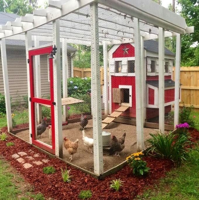 How To Build An Amazing Chicken Coop #diy #homesteading #chickens