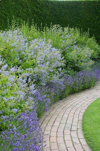 Beautiful perennial bordered brick walkway