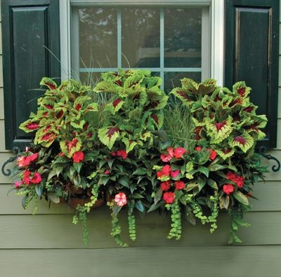 44 WINDOW BOX PLANTER  LINER SET