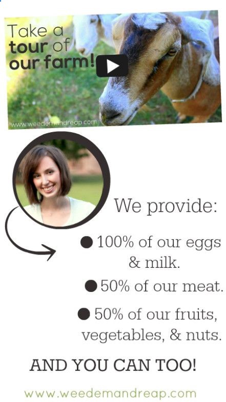 Check out this tour of a sustainable farm! Awesome! #farm #country #health #survivial #sustainable #emergency #animals #goats #chickens