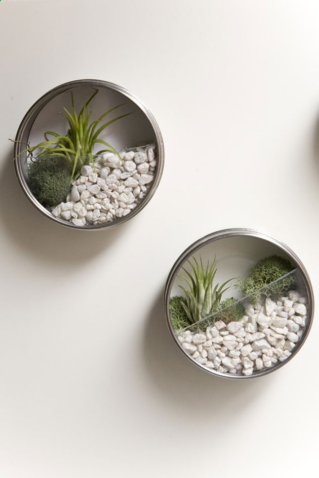 These mini wall terrariums look like theyre made from the magnetic spice jars from Ikea! Might have to make some for the fridge :)