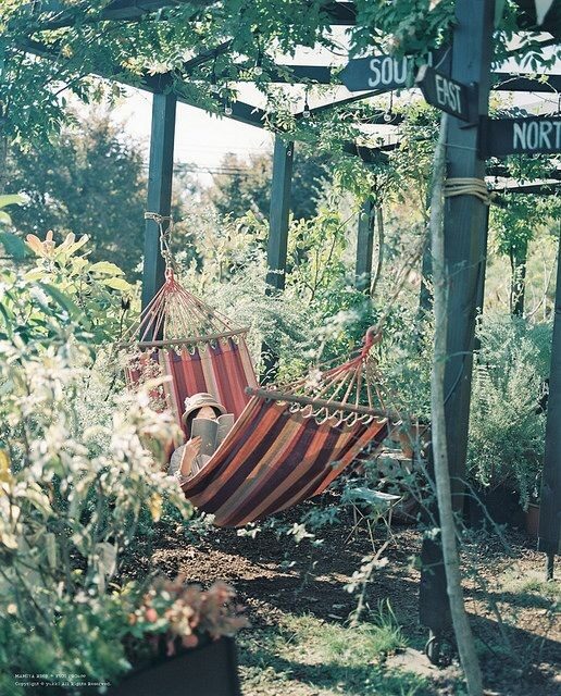 hammock in the shade