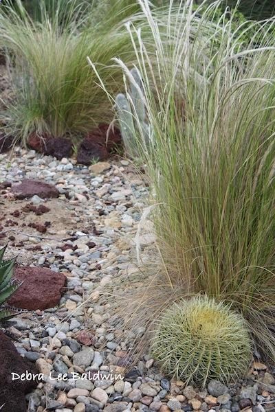 Got drought? Make a dry stream bed, says blogger Debra Lee Baldwin, and youve got a beautiful path or garden area to plant with ornamental grasses.