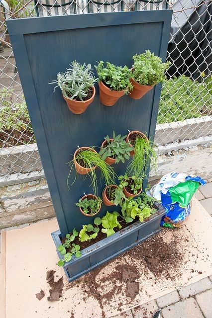 VerticalHerbGarden – this is another great idea for vertical growing that is also a beautiful yard decoration. I could see growing flowers in this as well as herbs…