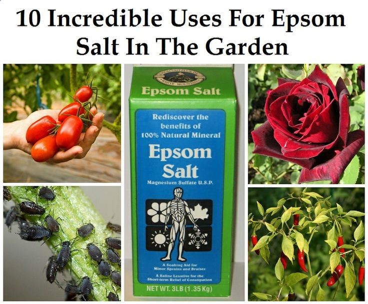 10 Incredible Uses for Epsom Salt in the Garden